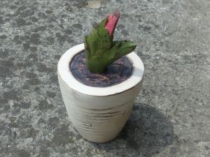 sadzonka z kwiatkiem