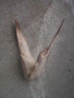 ptaszek drewniany
